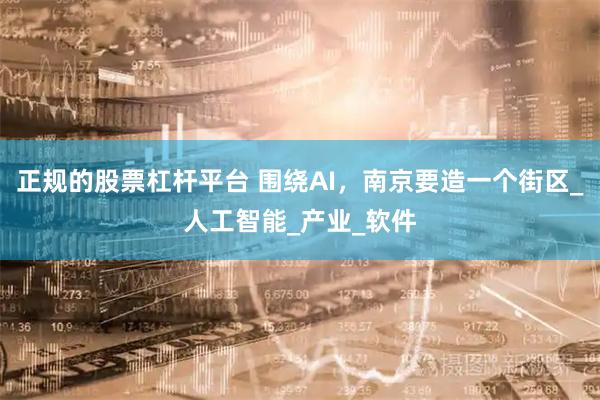 正规的股票杠杆平台 围绕AI，南京要造一个街区_人工智能_产业_软件